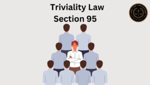 Triviality section 95
